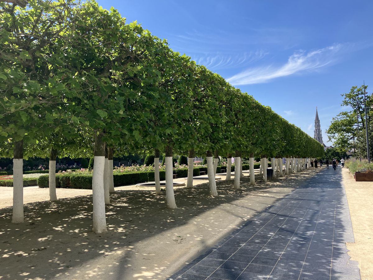 Jardin du Mont des Arts avec vue sur la flèche de l'hôtel de ville